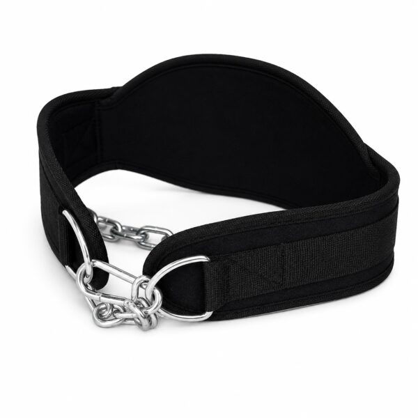 f4d78a7a-5c49-4e17-9456-ad1df5239e6f Heavy Duty Dip Belt
